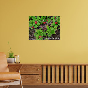 Korte krodde met bessen poster