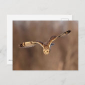 Korte oormodder naar de grond duiken briefkaart (Voorkant / Achterkant)