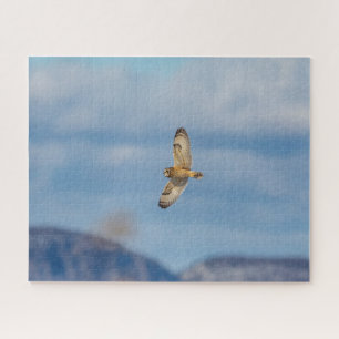 Korte-ooruil tijdens de vlucht legpuzzel