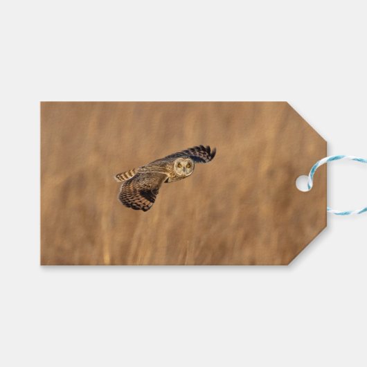 Korte-ooruil tijdens de vlucht op grasland cadeaulabel (Voorkant (Horizontaal))