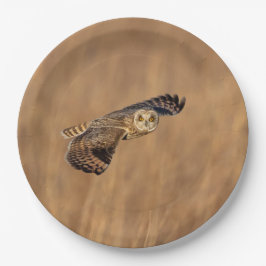 Korte-ooruil tijdens de vlucht op grasland papieren bordje