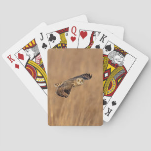 Korte-ooruil tijdens de vlucht op grasland pokerkaarten