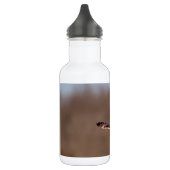 Korte-ooruil tijdens de vlucht waterfles  (Links)