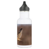 Korte-ooruil tijdens de vlucht waterfles  (Rechts)