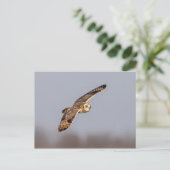 Korte oranje bij de Graslanden van Shawangunk Briefkaart (Staand voorkant)