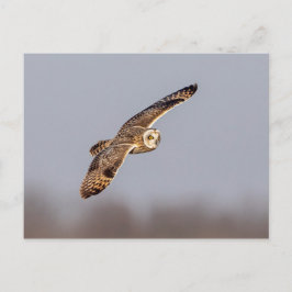 Korte oranje bij de Graslanden van Shawangunk Briefkaart