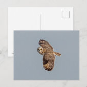 Korte oranje bij de Graslanden van Shawangunk Briefkaart (Voorkant / Achterkant)