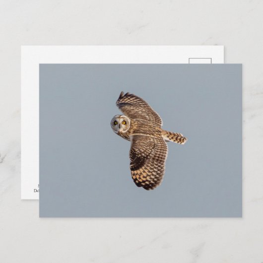 Korte oranje bij de Graslanden van Shawangunk Briefkaart (Voorkant / Achterkant)