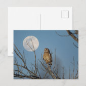 Korte oranje bij de Graslanden van Shawangunk Briefkaart (Voorkant / Achterkant)