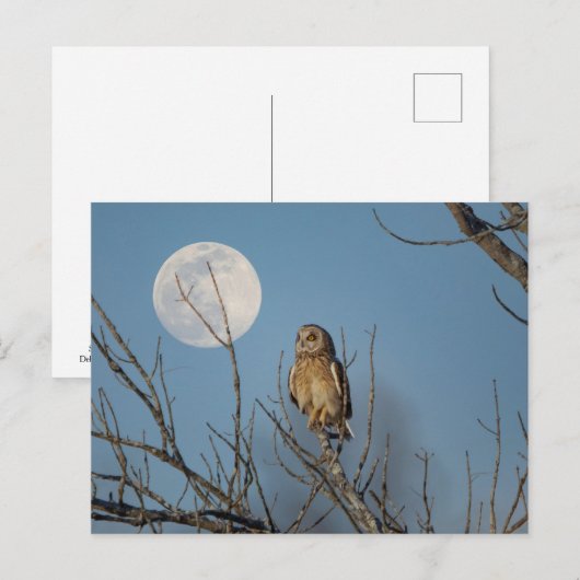 Korte oranje bij de Graslanden van Shawangunk Briefkaart (Voorkant / Achterkant)