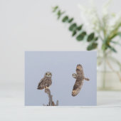 Korte oranje bij de Graslanden van Shawangunk Briefkaart (Staand voorkant)