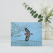 Korte oranje bij de Graslanden van Shawangunk Briefkaart (Staand voorkant)