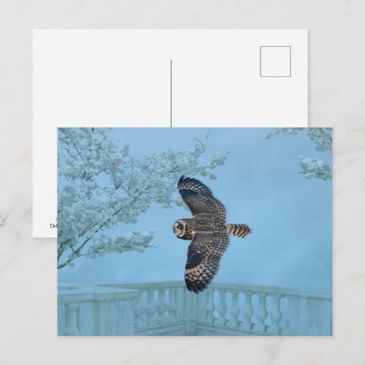 Korte oranje bij de Graslanden van Shawangunk Briefkaart (Voorkant / Achterkant)