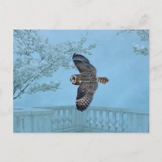 Korte oranje bij de Graslanden van Shawangunk Briefkaart (Voorkant)