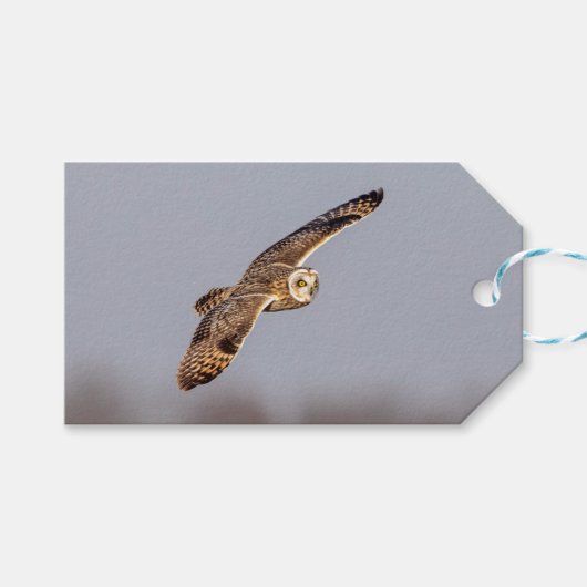 Korte oranje bij de Graslanden van Shawangunk Cadeaulabel (Voorkant (Horizontaal))