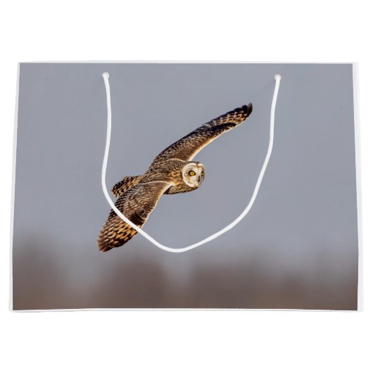 Korte oranje bij de Graslanden van Shawangunk Groot Cadeauzakje (Voorkant)