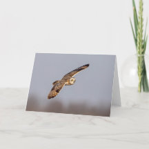 Korte oranje bij de Graslanden van Shawangunk