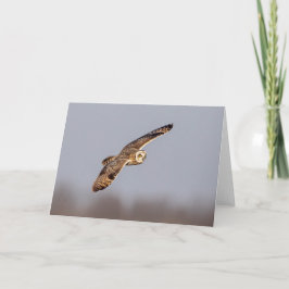 Korte oranje bij de Graslanden van Shawangunk Kaart