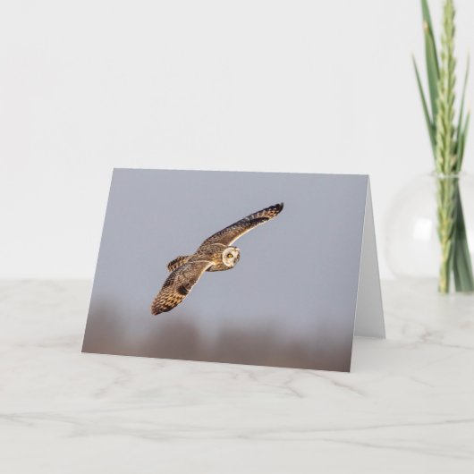 Korte oranje bij de Graslanden van Shawangunk Kaart (Voorkant)