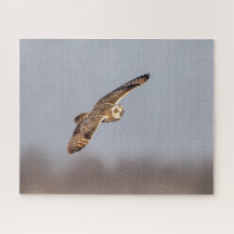 Korte oranje bij de Graslanden van Shawangunk