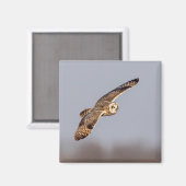 Korte oranje bij de Graslanden van Shawangunk Magneet (Voorkant / Achterkant)