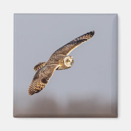Korte oranje bij de Graslanden van Shawangunk Magneet