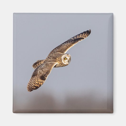 Korte oranje bij de Graslanden van Shawangunk Magneet (Voorkant)