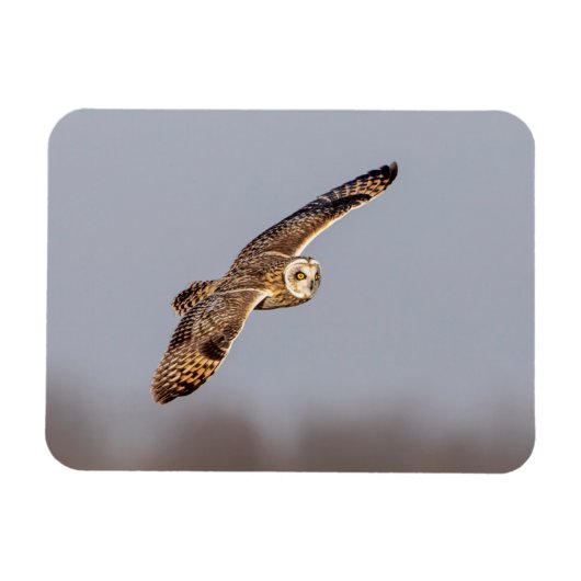 Korte oranje bij de Graslanden van Shawangunk Magneet (Horizontaal)