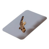 Korte oranje bij de Graslanden van Shawangunk Magneet (Linkerzijde)