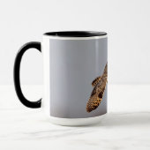 Korte oranje bij de Graslanden van Shawangunk Mok (Links)