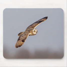 Korte oranje bij de Graslanden van Shawangunk Muismat