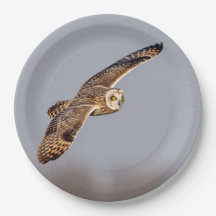 Korte oranje bij de Graslanden van Shawangunk