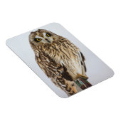 Korte oranjebruin op hek magneet (Rechterzijde)