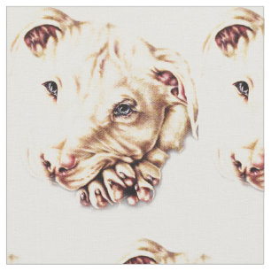 Korte Pitbull-tekening met gevouwen poten Stof