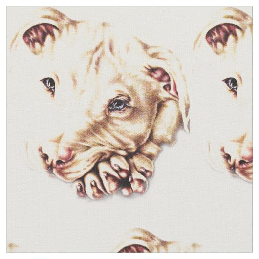 Korte Pitbull-tekening met gevouwen poten Stof (Close Up)