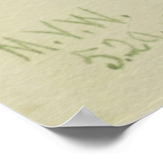 Korte Pitcherplant (Sarracenia rubra) Poster (Hoek)