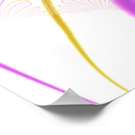 Korte regenboog poster (Hoek)