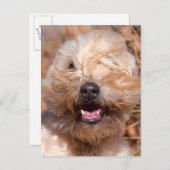 Korte wielschilderij met coating briefkaart (Voorkant / Achterkant)