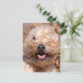 Korte wielschilderij met coating briefkaart (Staand voorkant)