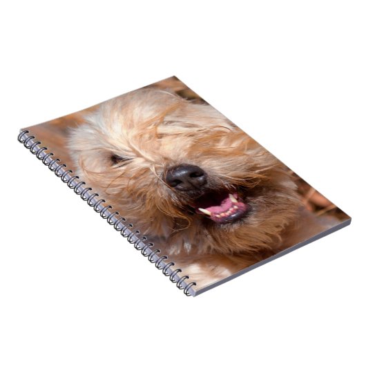 Korte wielschilderij met coating notitieboek (Rechterzijde)