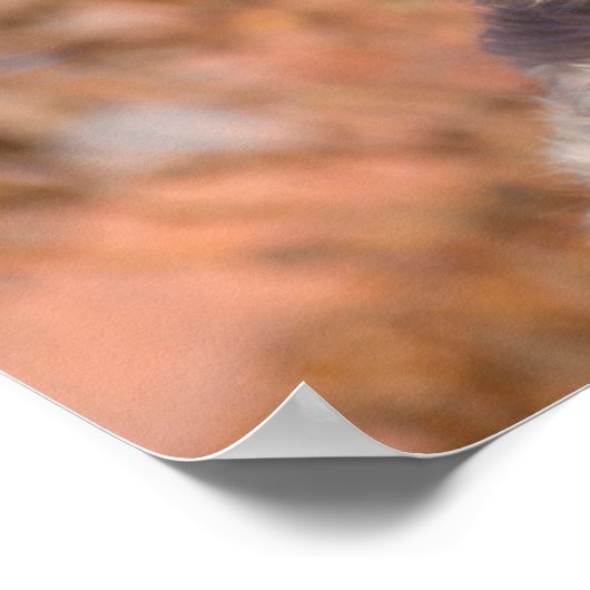 Korte wielschilderij met coating poster (Hoek)