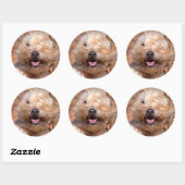 Korte wielschilderij met coating ronde sticker (Vel)