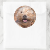 Korte wielschilderij met coating ronde sticker (Tas)