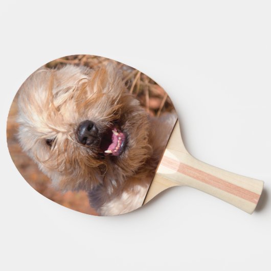 Korte wielschilderij met coating tafeltennisbatje (Zijkant)