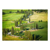 Korte wikkelweg in Toscane Foto Afdruk (Voorkant)