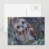 Korteitoropoda Briefkaart (Voorkant / Achterkant)