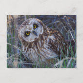 Korteitoropoda Briefkaart (Voorkant)