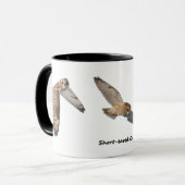 Korteitoropoda Mok (Voorkant links)