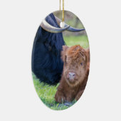 Kortgeboren schotse schotel met moederkoe keramisch ornament (Rechts)