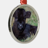 Kortgeboren zwarte schotkaap metalen ornament (Rechts)